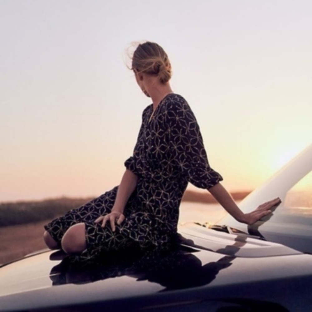 NWT Anthro Plenty by Tracy Reese Aleah Dress - Picture 4 of 4